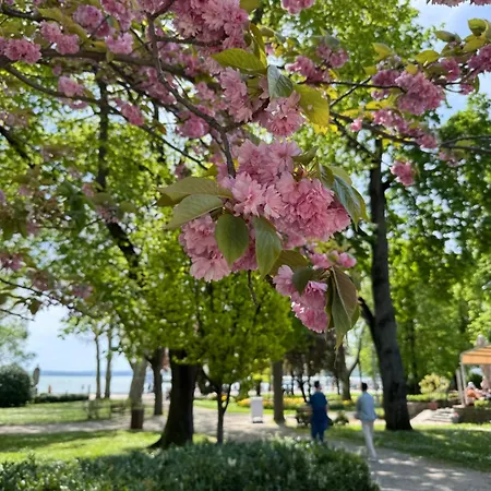 Magdalena Balatonfured