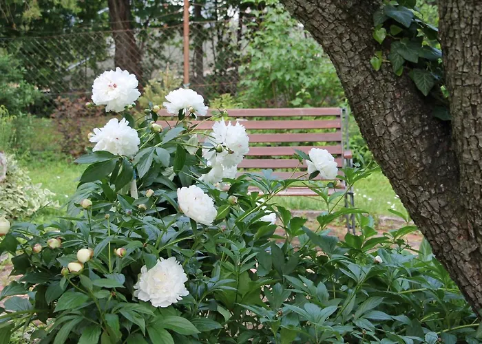 Apartament Magdalena *